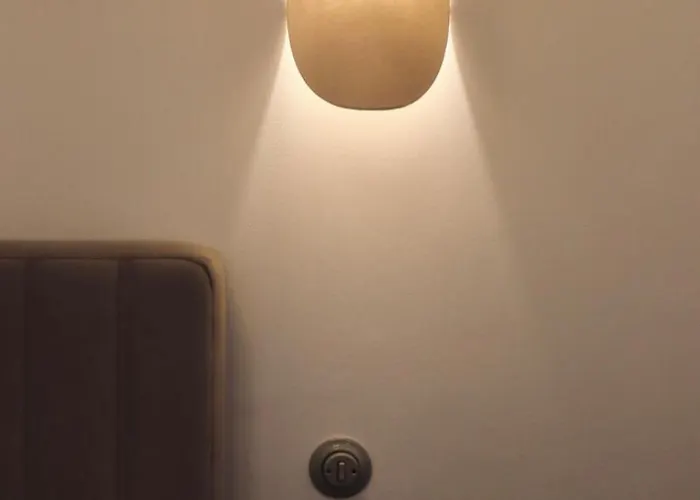 Notre-dame - Boutique Design *